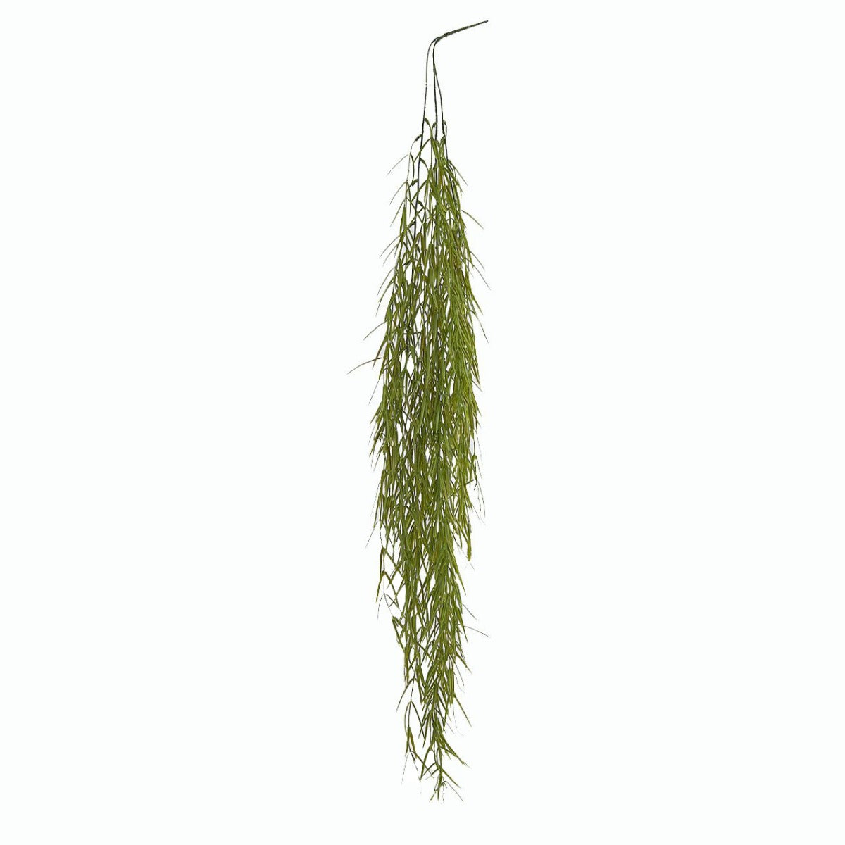 Senecio Radicans Cadente: piante grasse artificiali di qualità  - 231945