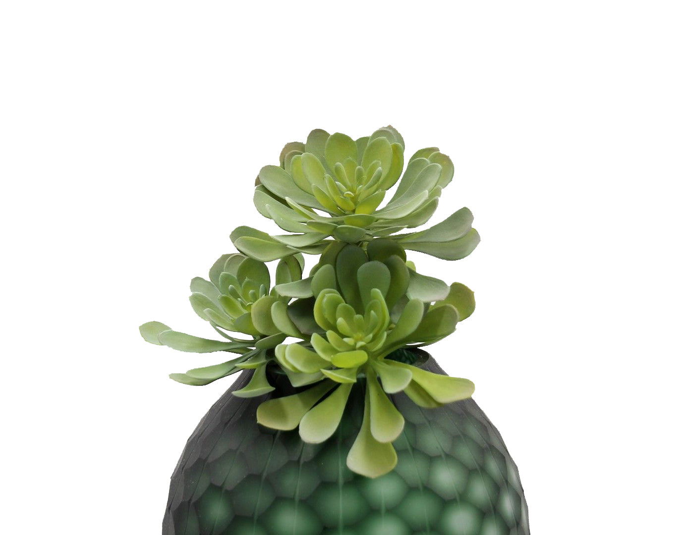 Pianta succulenta finta: piante grasse artificiali di qualit&agrave; - 232002