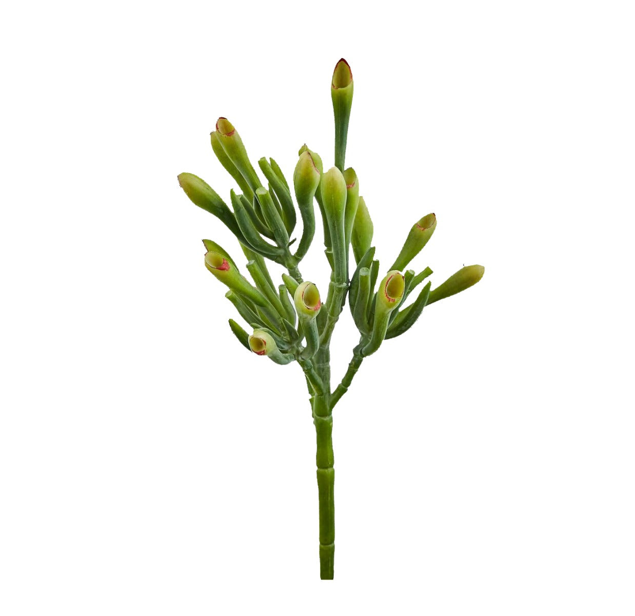 Pianta Artificiale di Sarracenia - Piante artificiali di qualit&agrave; - 234109