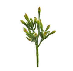 Pianta Artificiale di Sarracenia - Piante artificiali di qualit&agrave; - 234109