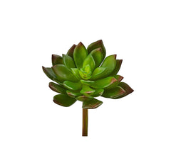 Echeveria artificiale H14 : Piante succulente artificiali di alta qualit&agrave; - 234170