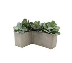 Pianta Succulenta artificiale H20 - 231606,95