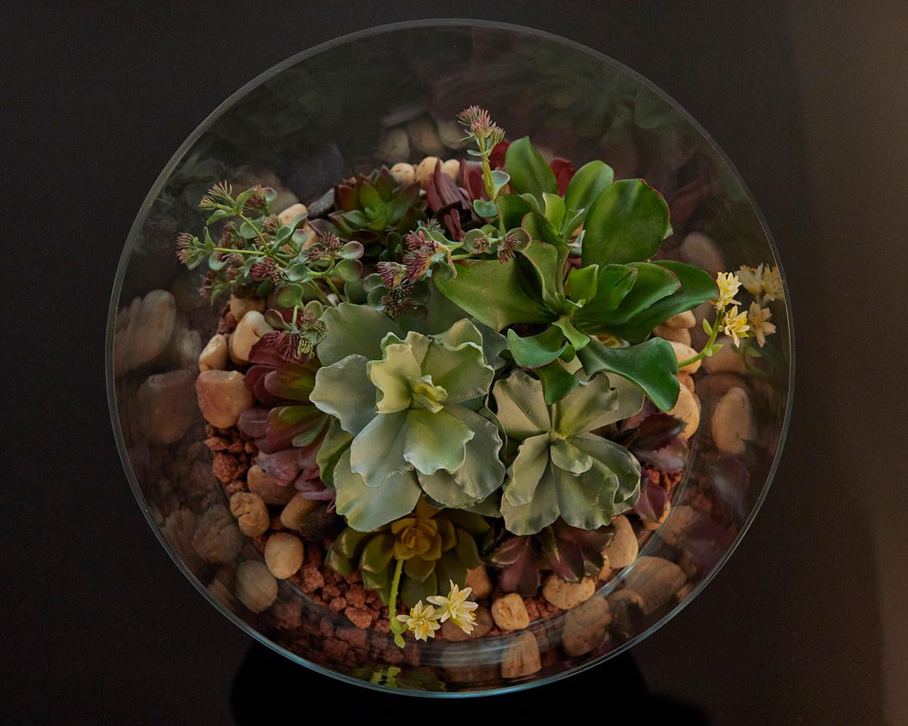 Echeveria artificiale H14 : Piante succulente artificiali di alta qualit&agrave; - 234170