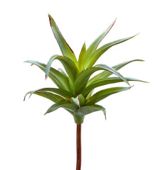 Piantina Artificiale di Agave H23 | Piante Succulente Artificiali di Qualit&agrave; - 232806,71