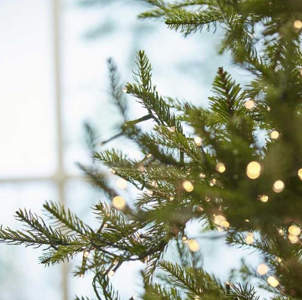 Pino Luxury LED | Albero di Natale Preilluminato con luci MiniLed - CONFIG0233