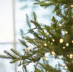 Pino Luxury LED | Albero di Natale Preilluminato con luci MiniLed - CONFIG0233
