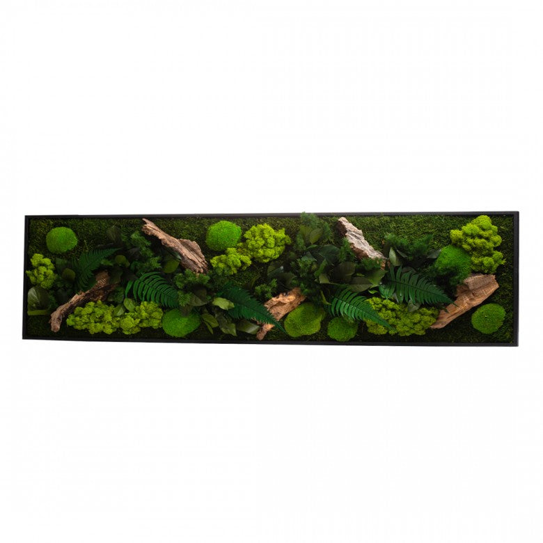 Quadro Vegetale  Rettangolare con Verde Stabilizzato 115X25 - STAB-PANO-CAN