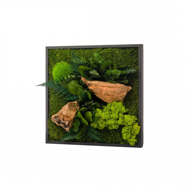 Quadro Vegetale con Verde Stabilizzato 35X35  - STAB-CARRE-CAN