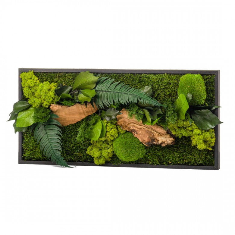 Quadro Vegetale Rettangolare con Verde Stabilizzato 57X27  - STAB-RECT-CAN