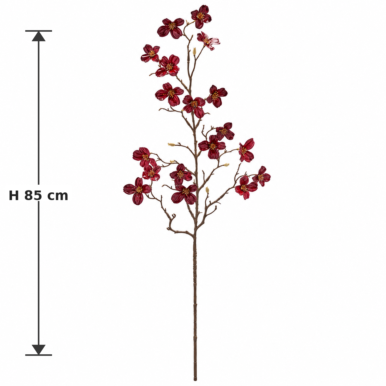 Ramo Cornus Glossy Rosso EDG Enzo De Gasperi altezza H 85 cm