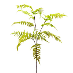 Ramo Artificiale di Felce Asparagus H105 Cm - Piante Artificiali di Qualit&agrave; - 232786