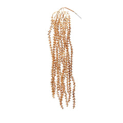 Ramo Cadente Olis Glitterato oro H60 | Rami decorati natalizi - 233044