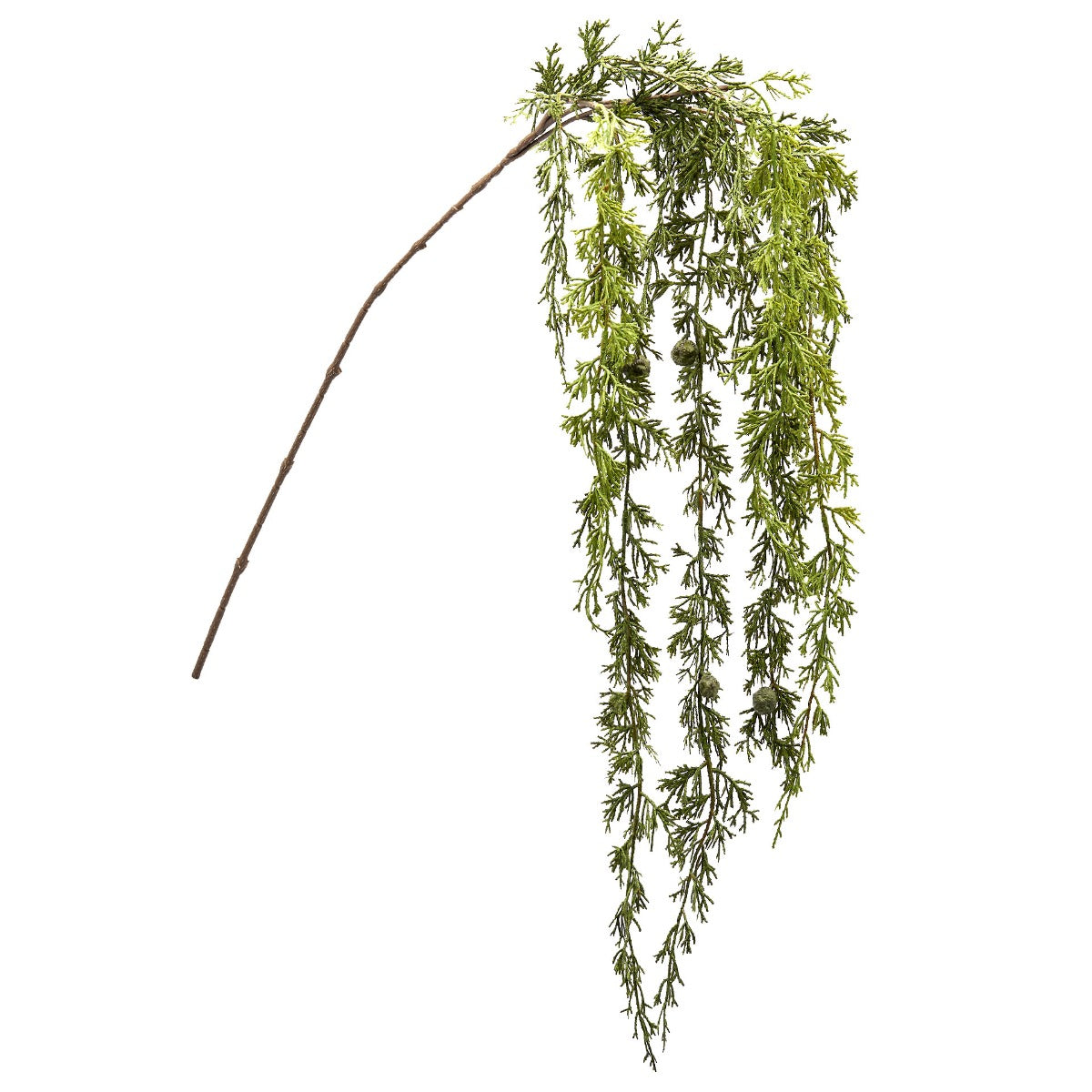 Ramo di Thuja Cadente H140 | Rami natalizi decorativi di qualit&agrave; - 6900036A700