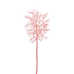 Ramo di Corallo artificiale Rosso H63 | Rami decorativi artificiali di qualit&agrave; - 232186