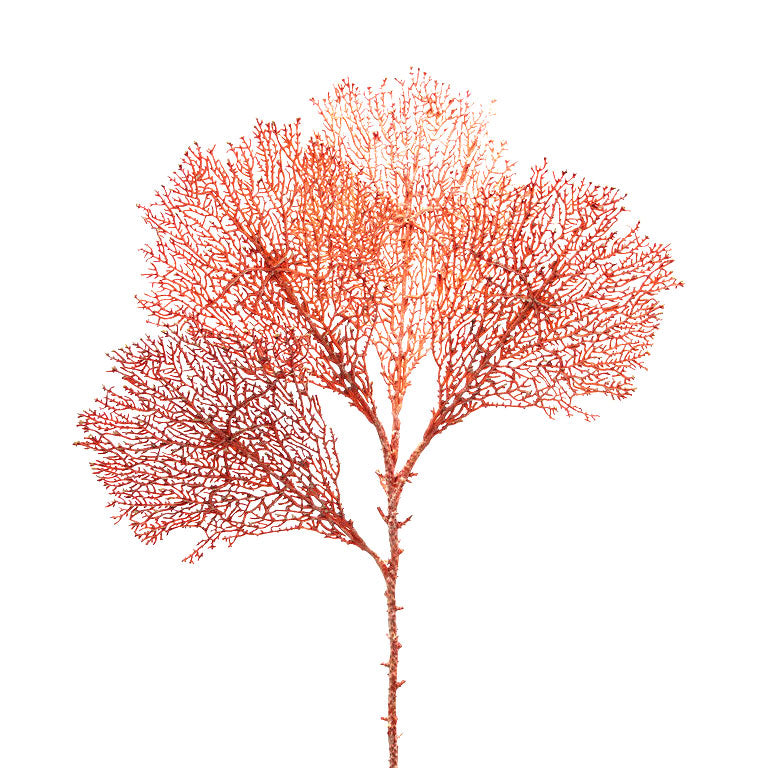 Gorgonia Rosa H66 | Ramo Artificiale di Corallo - 232187,32