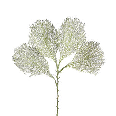 Gorgonia Verde H66 | Ramo Artificiale di Corallo - 232187,88