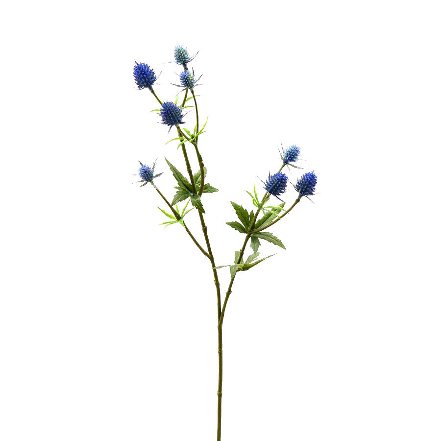 Ramo Cardo Light Blue H50 | Fiori Artificiali di Qualit&agrave; - 215665,81