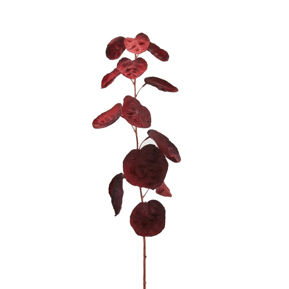 Ramo Eucalipto Foglia tonda Bordeaux H76 | Rami artificiali di qualit&agrave; - 232929