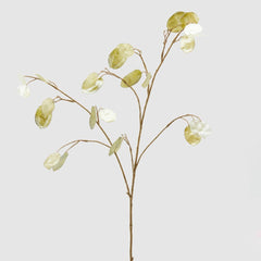 Ramo Lunaria Light Green H94 | Rami artificiali di qualit&agrave; - 685001