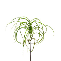 Ramo Tillandsia artificiale H53 : Piante artificiali di alta qualit&agrave; - 232718