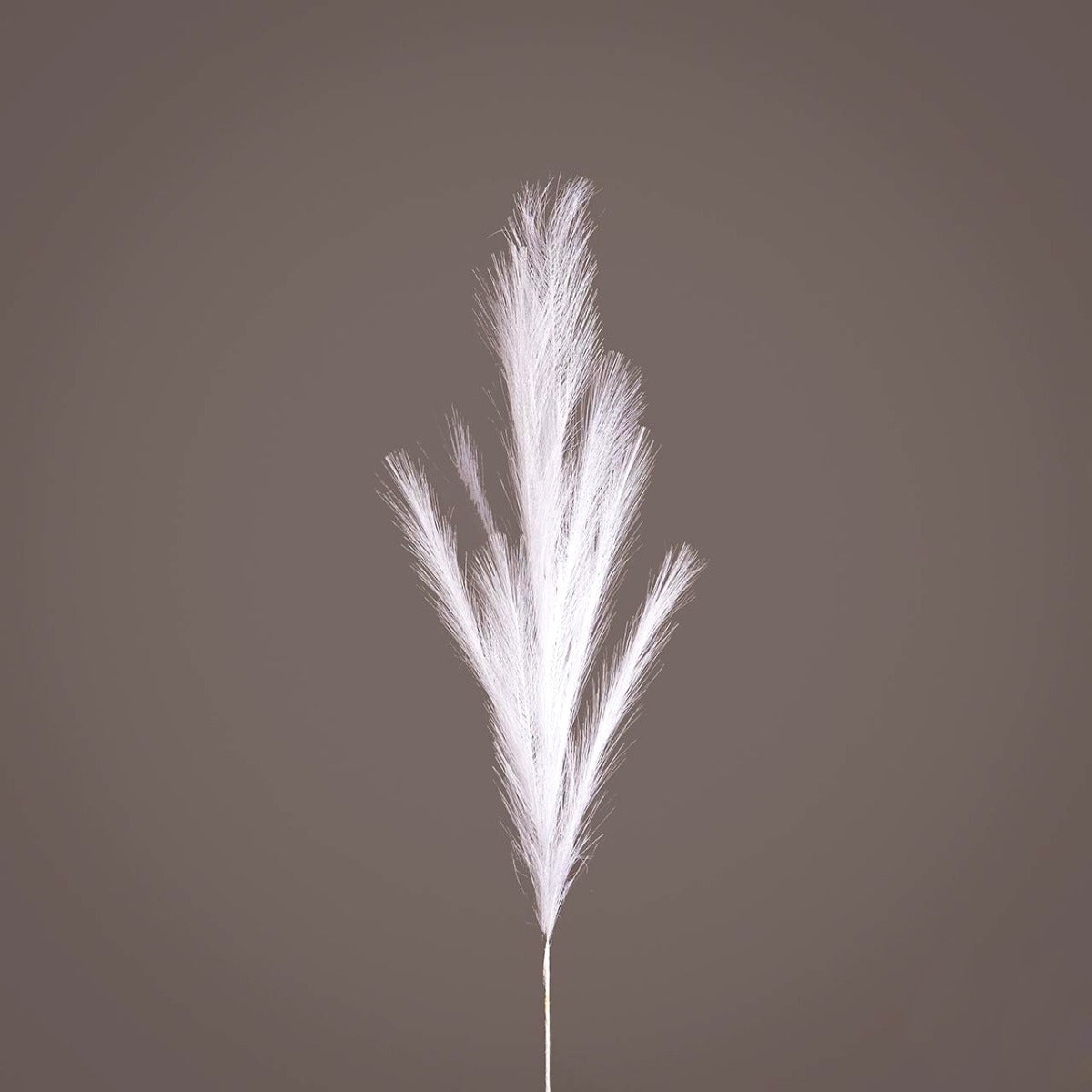 Ramo Pampas artificiale bianco H100 - 683441,10