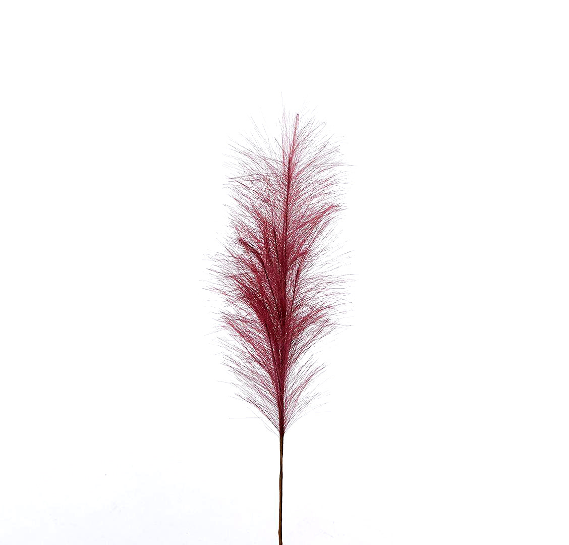 Ramo Pampas Rosso Porpora H70 - 683440,46