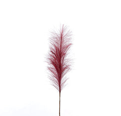 Ramo Pampas Rosso Porpora H70 - 683440,46