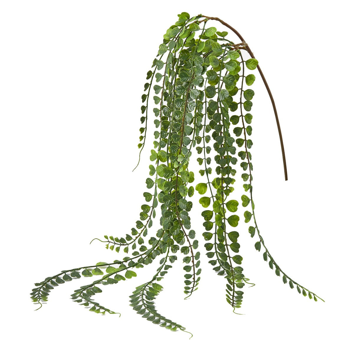 Ramo artificiale Senecio pendente H100 : Rami artificiali di qualit&agrave; - 232089