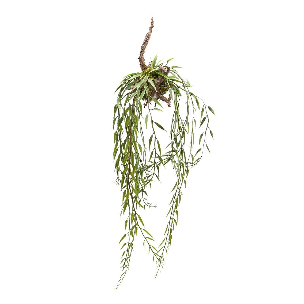 Salice cadente da appendere H58 - 232386