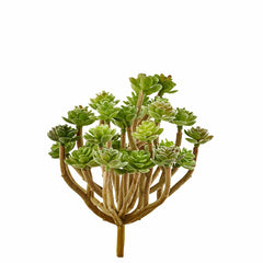 Echeveria Pulvinata artificiale H14 : piante artificiali di qualit&agrave; - 236899,71