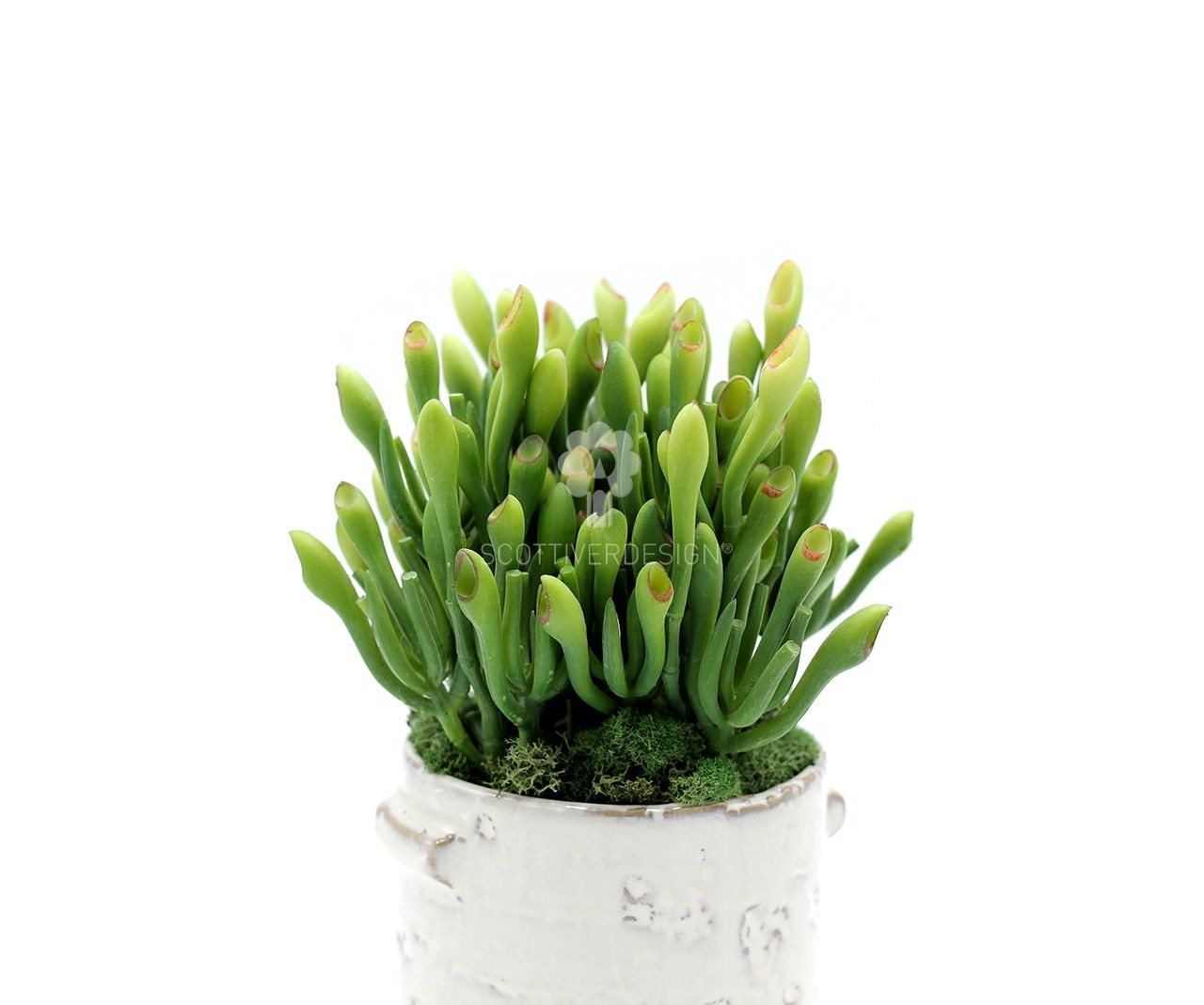 Pianta Artificiale di Sarracenia - Piante artificiali di qualit&agrave; - 234109