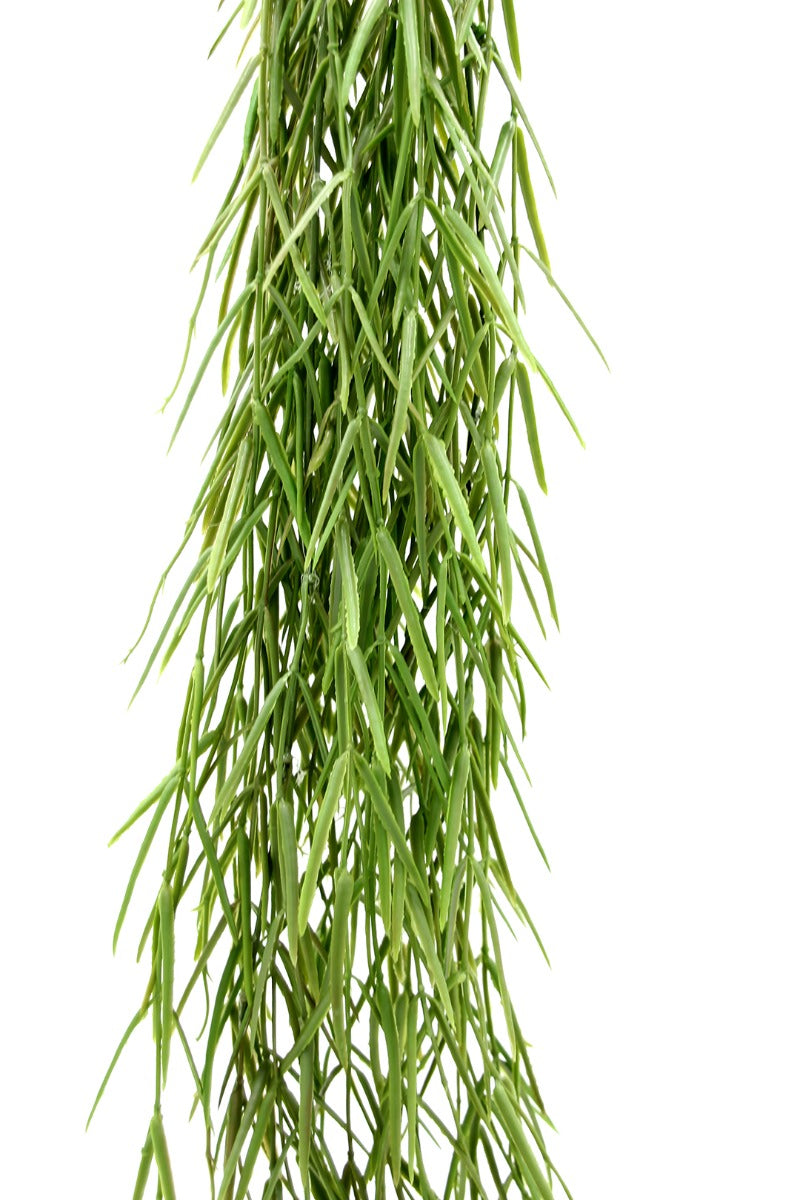 Senecio Radicans Cadente: piante grasse artificiali di qualità  - 231945