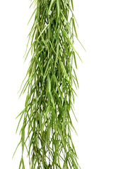 Senecio Radicans Cadente: piante grasse artificiali di qualità  - 231945