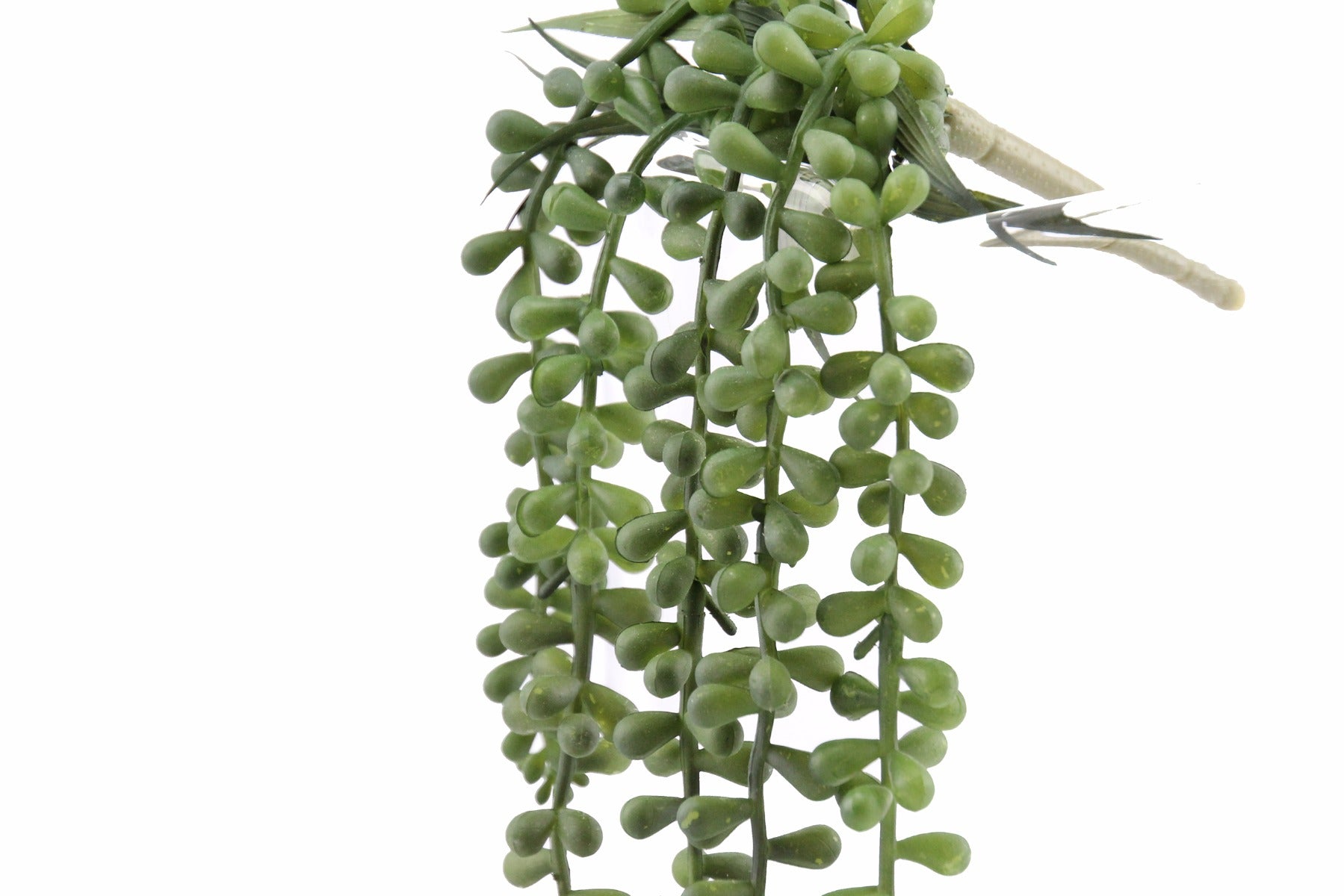 Senecio: piante artificiali di qualità  - 231413,71