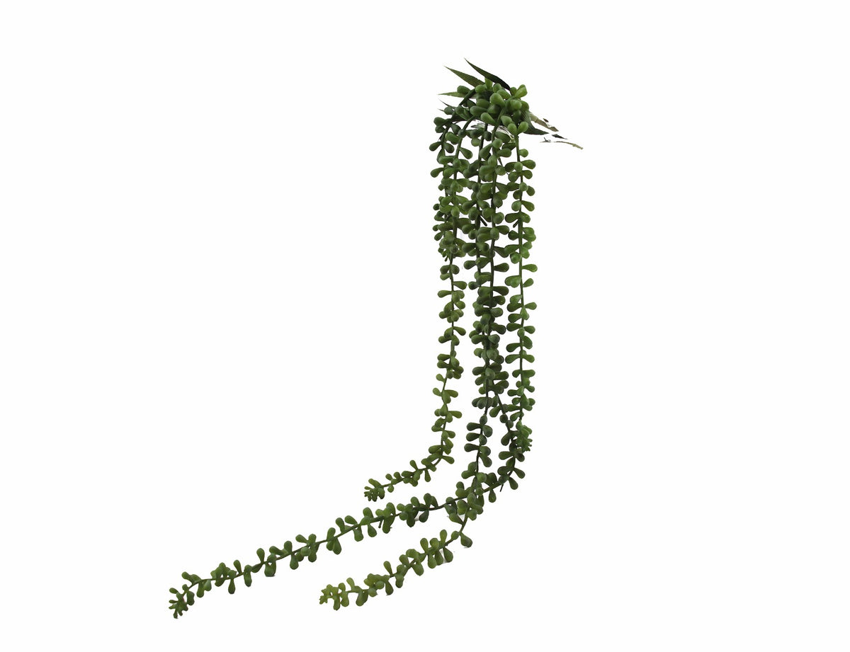 Senecio: piante artificiali di qualità  - 231413,71