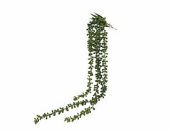 Senecio: piante artificiali di qualità  - 231413,71