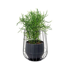 Serax - Vaso In Cesto di Ferro Nero H45 X D37 Cm - B7217052