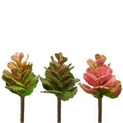 Set 3Pz. Assortiti Pianta Artificiale Succulenta Olis H 20 cm