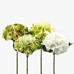 Ortensia artificiale Set 4Pz. Verde e Bianco H45 | Fiori artificiali di qualit&agrave; - 215524,72