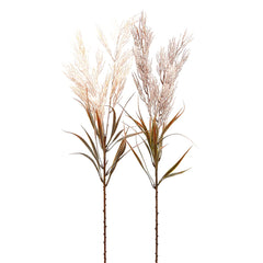 Ramo Pampas artificiale 2 colori assortiti H88 - 232568