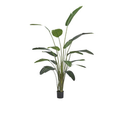 Strelitzia Artificiale con Vaso H245 Cm | Piante Artificiali di Qualit&agrave; - 231638