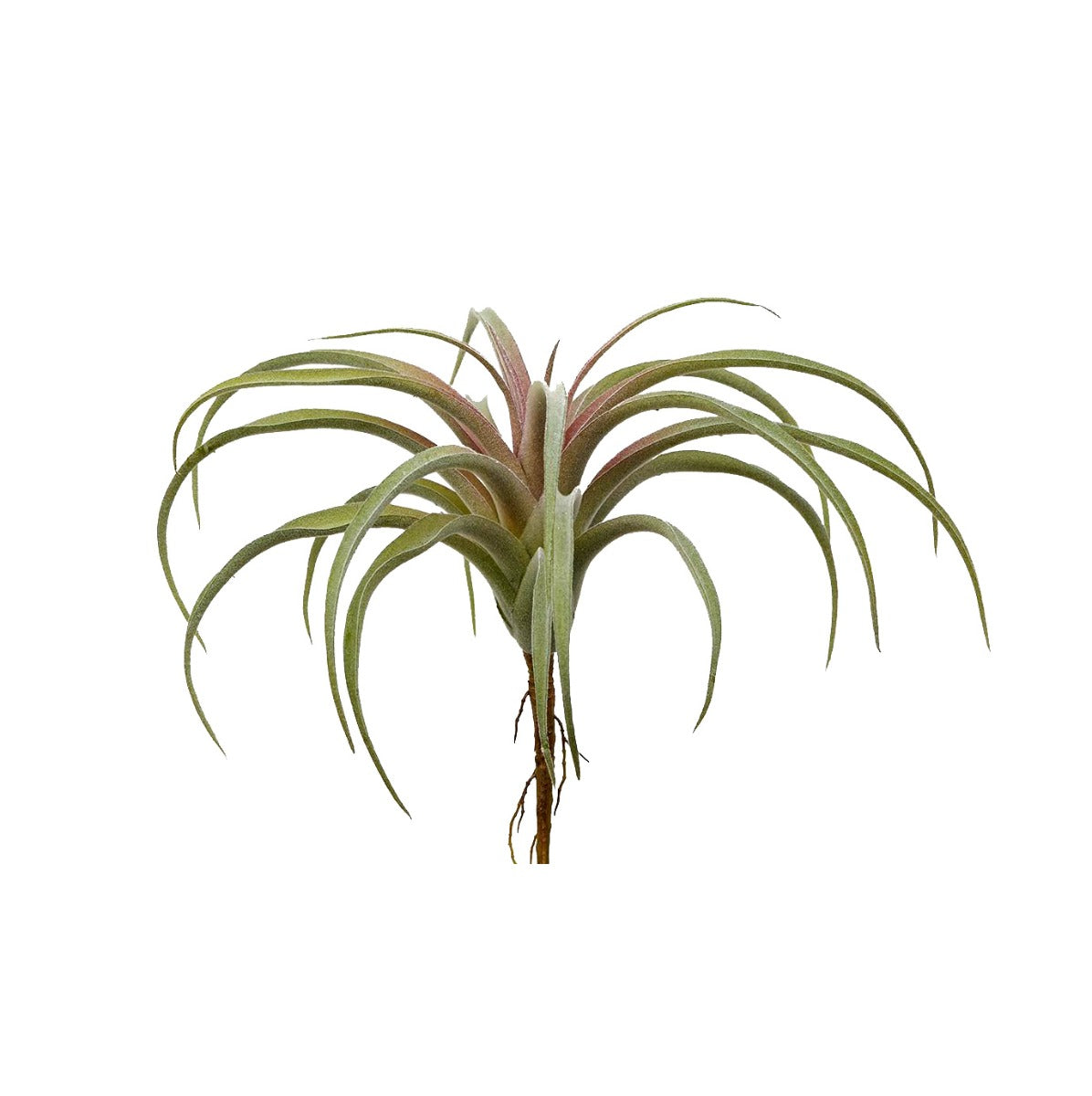 Pianta di Tillandsia artificiale H24 - 232447