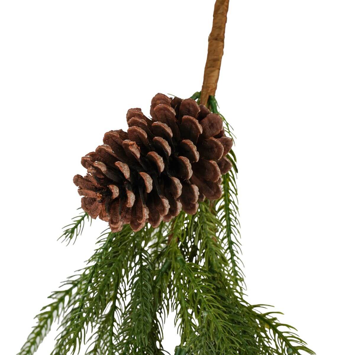 Dettaglio pigna del tralcio natalizio di Cryptomeria in PE