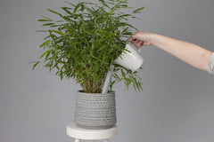 Tube irrigatore automatico per vasi in ceramica: attrezzi giardinaggio D&amp;M - AAR4407GI