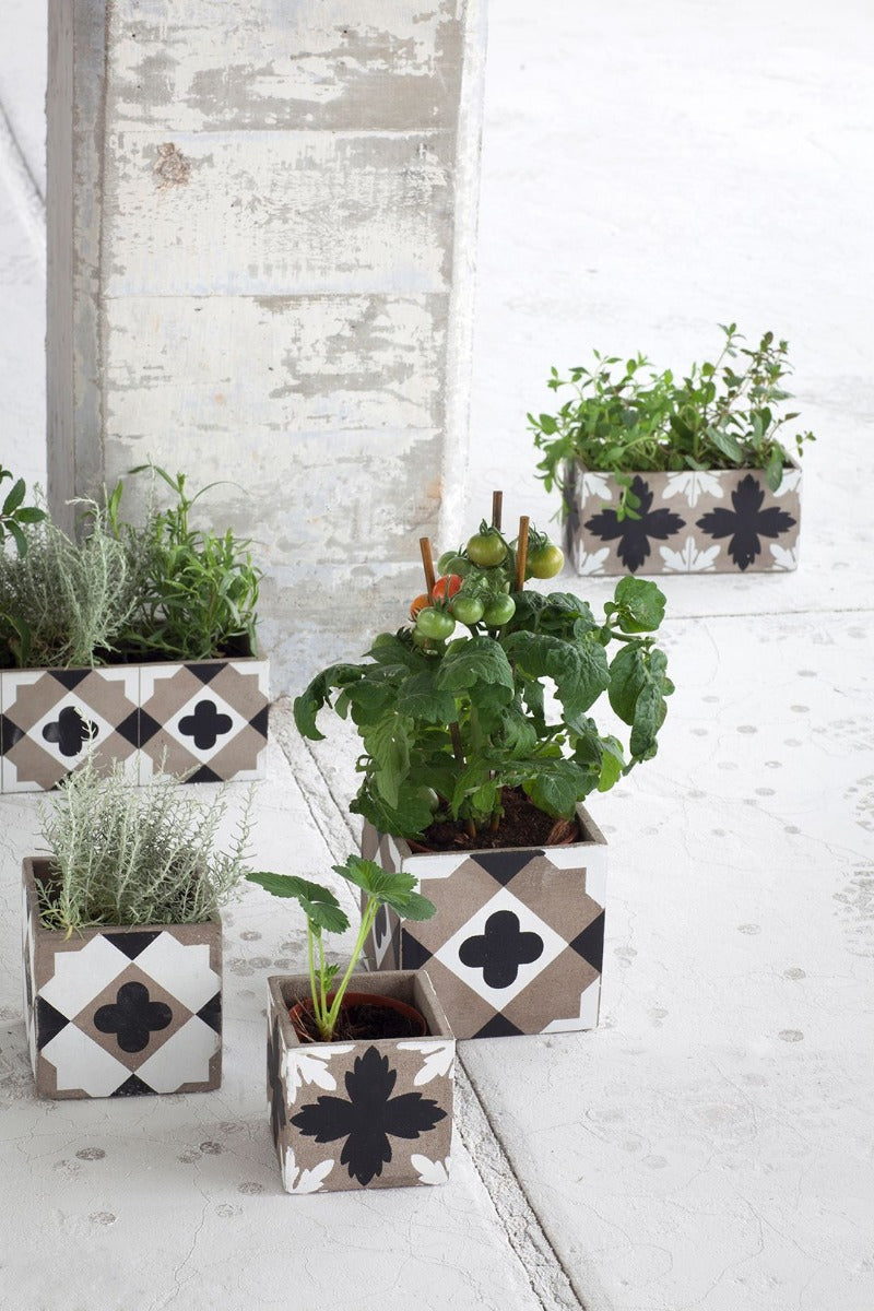 Cachepot Feeling : Set 3 vasi in cemento Serax - B7213202