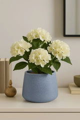 EDG Enzo De Gasperi Vaso Cachepot Crackle Azzurro H18 - Eleganza e Design per i Tuoi Interni