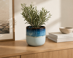 Vaso Cachepot Nuance Rotondo Celeste/Blu H13 D13 Cm – EDG Enzo De Gasperi