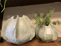 Vaso Chakra Agave Bombato | Vasi in ceramica Design Enzo De Gasperi - CONFIG0384
