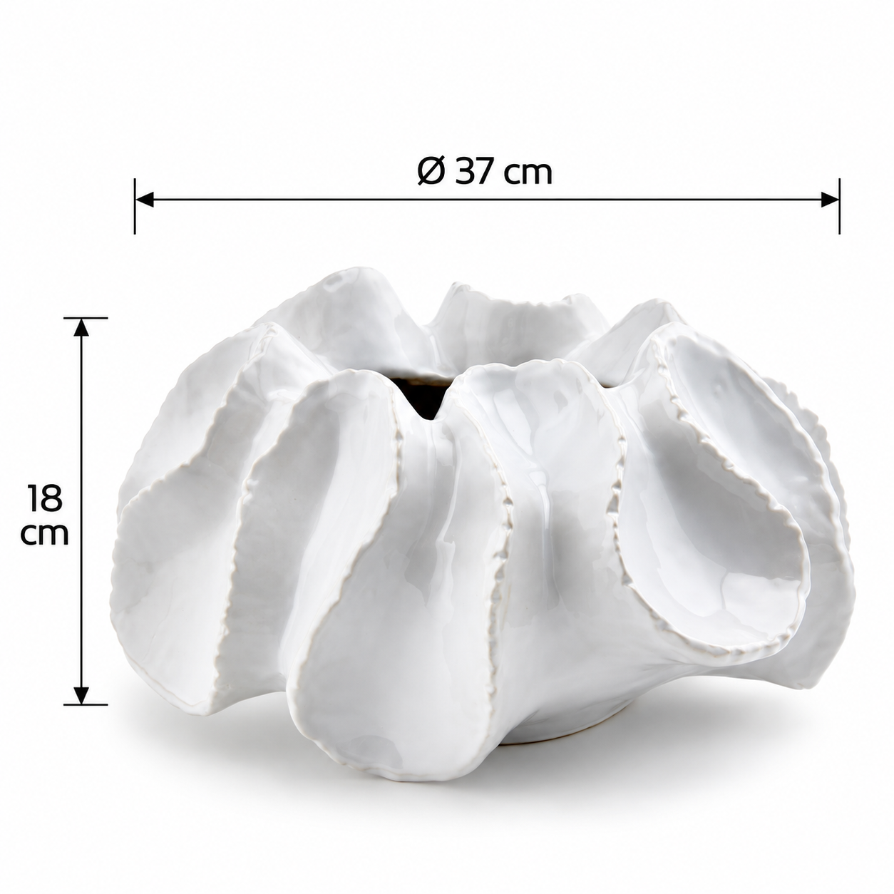 Vaso Chakra Succulent EDG Enzo De Gasperi in ceramica bianca – dimensioni Ø 37 × H 18 cm