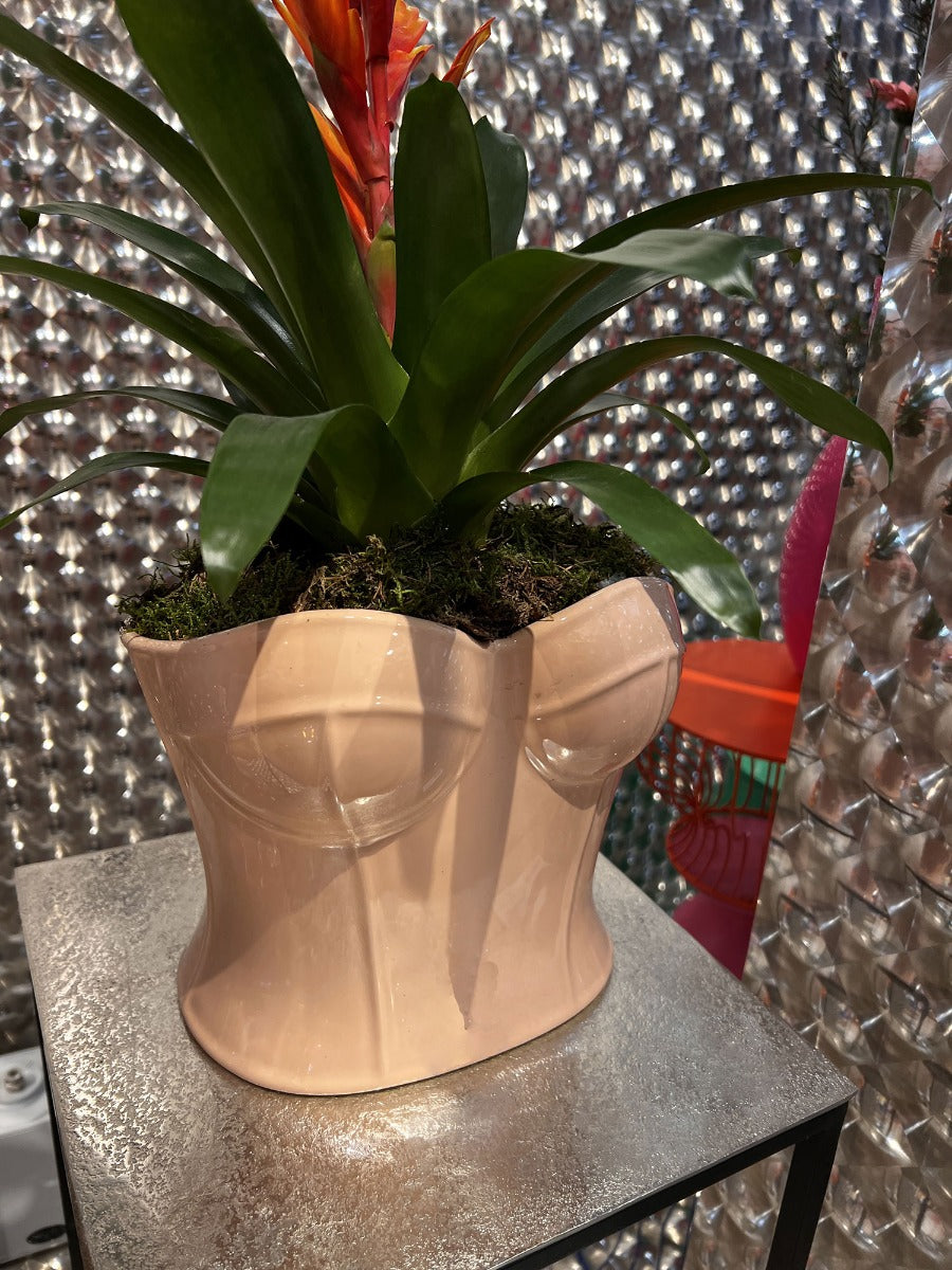 Vaso Corsetto Busto Donna Pesca | Vasi di design originali - KAL-4507